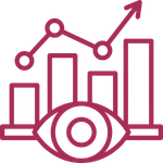 Vision Icon